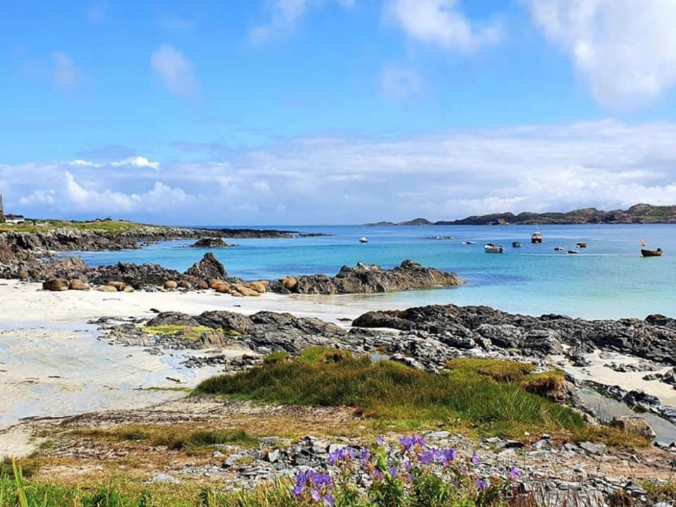 Iona